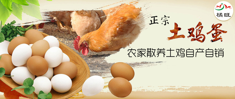 吸血鬼不壞 打破刻板印象的平面設計新作